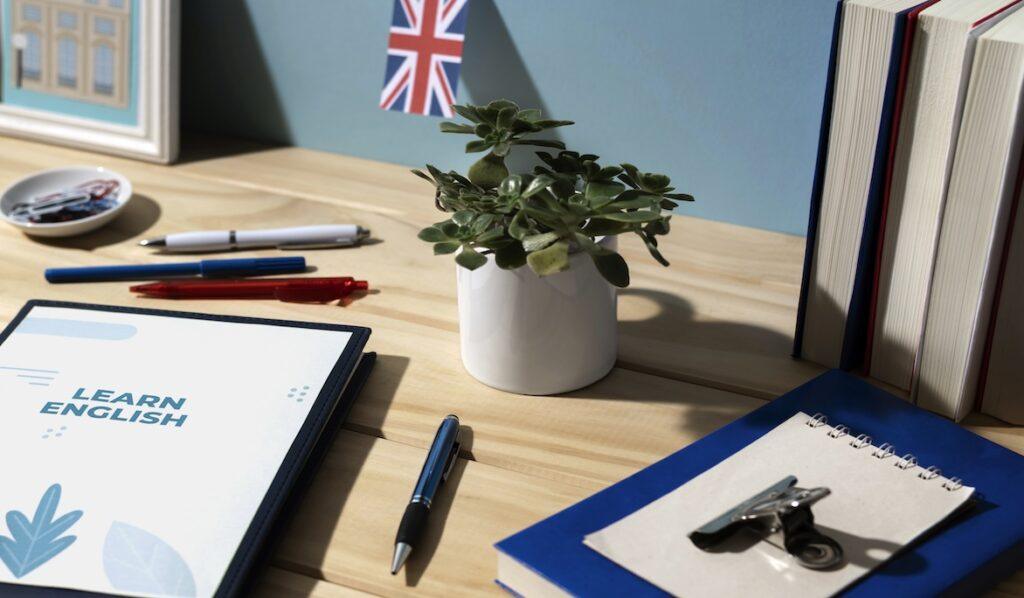 Рослина в горщику на столі